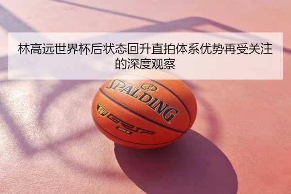 林高远世界杯后状态回升直拍体系优势再受关注的深度观察